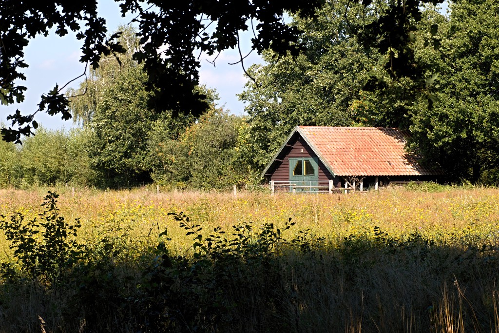 nationaal park de groote peel grote natuurgebied natuur hdr brabant limburg staatsbosbeheer turf veen heide hei bos bossen
